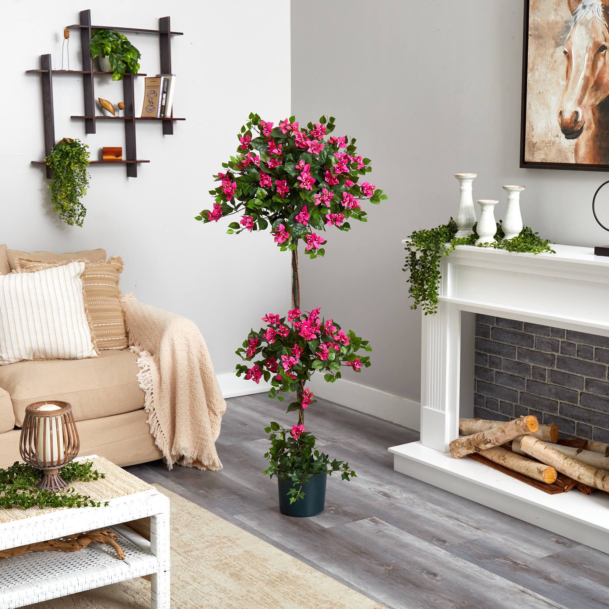5ft. Potted Mini Bougainvillea Topiary